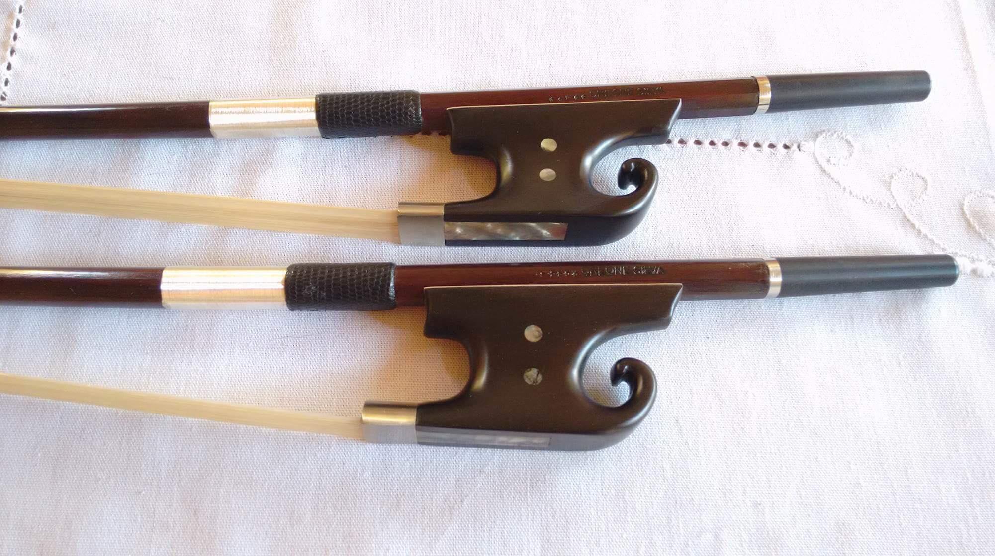 German Bow-Frog UGA — close-up of two bow frogs